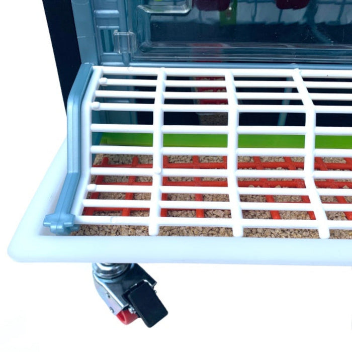 Chick Brooder - 5 Layer H: 9.5"