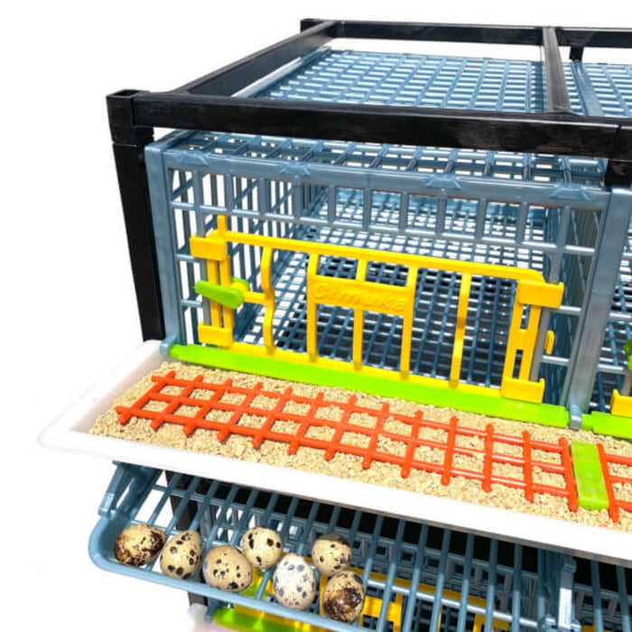 Quail Cage - 2 Layer