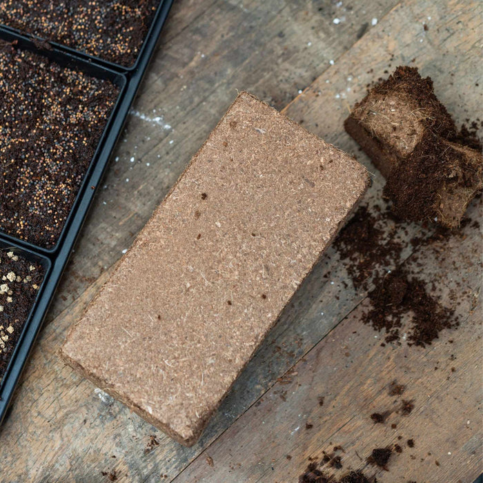 Coco Coir Brick