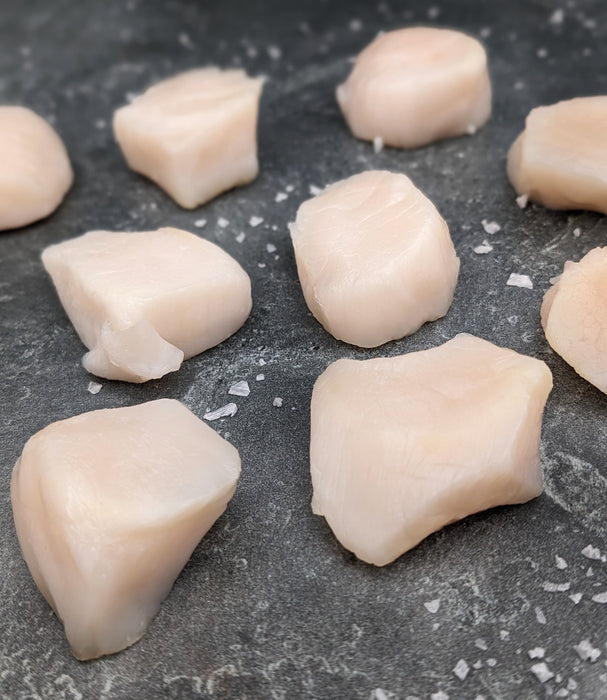 Colossal Boston Dry Scallops | U-8