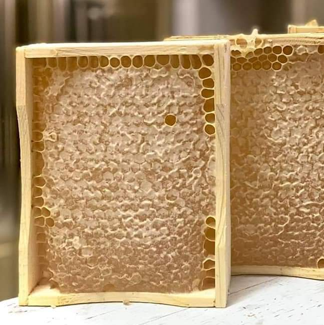 Comb Honey Cassettes