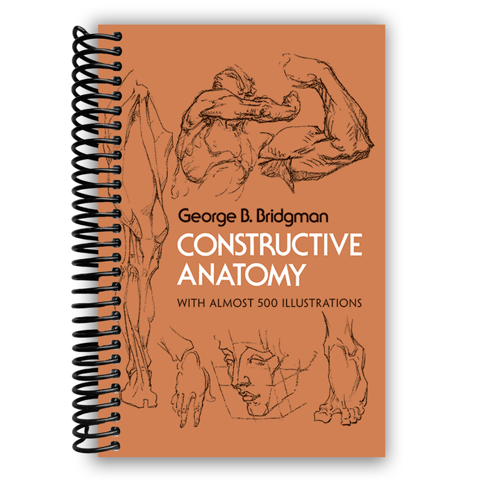 Constructive Anatomy (Spiral Bound)