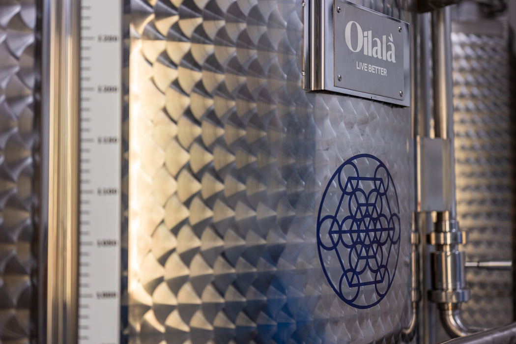 Intense Extra Virgin Olive Oil | Intosso Olive Oil Imported from Abruzzo, Italy