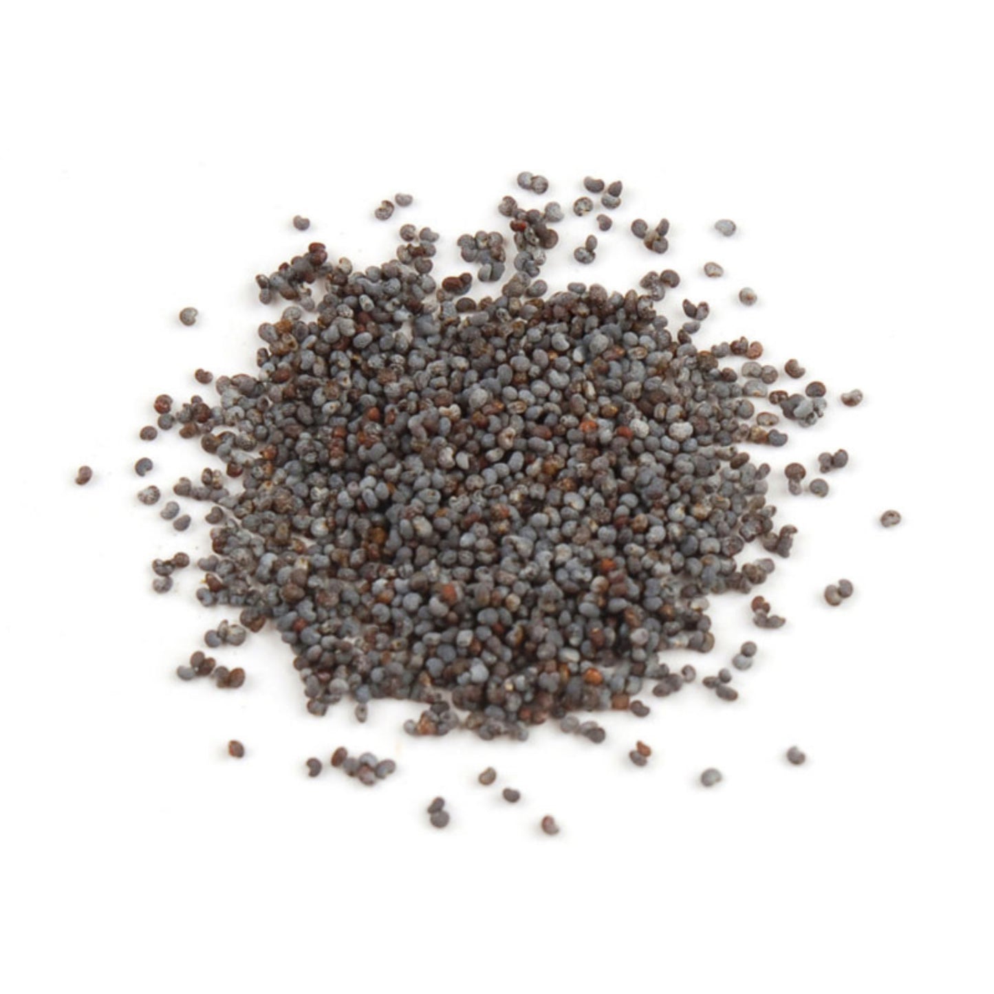 Poppy Seed-Specialty Food Source