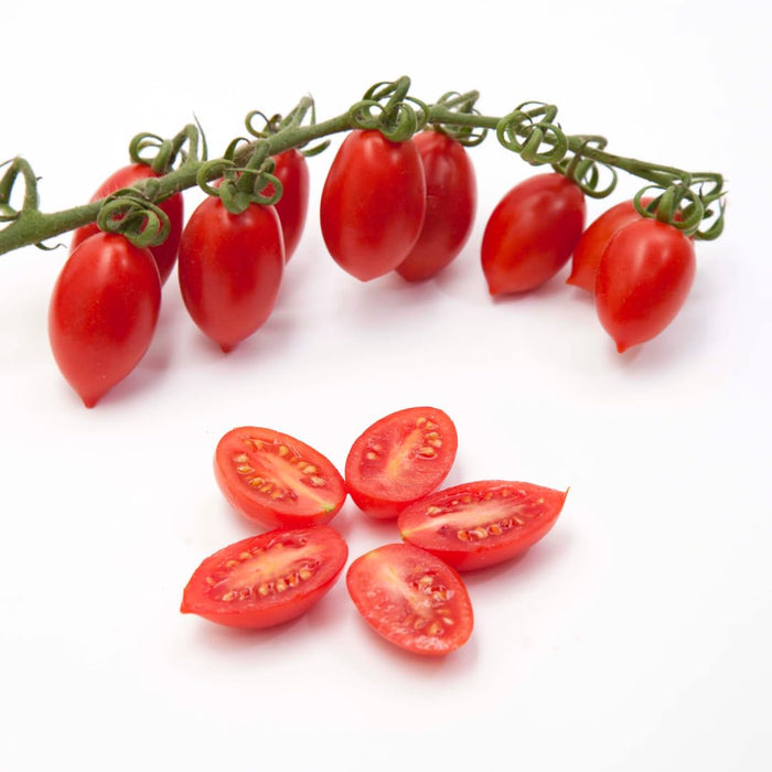 Così Comè Datterini Tomatoes in Juice – 12.3 oz (350 g)