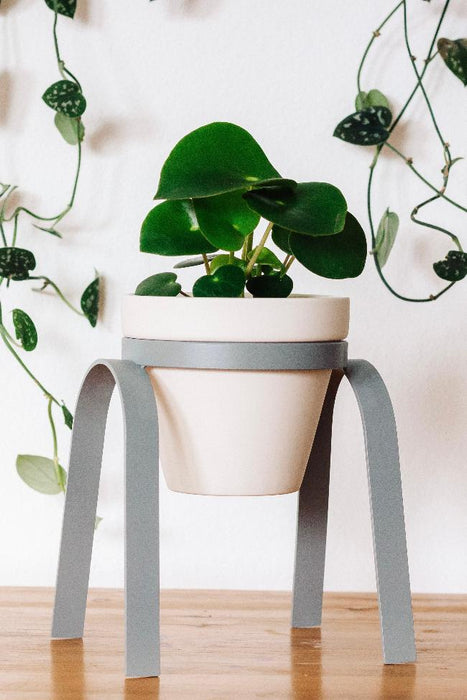 Metal Plant Stand with Pot