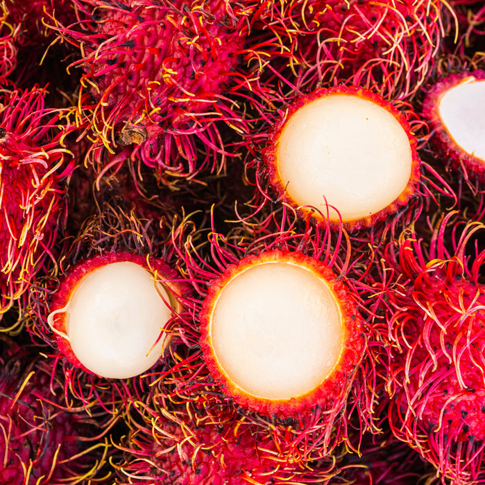 Rambutan *** Pre-Order***