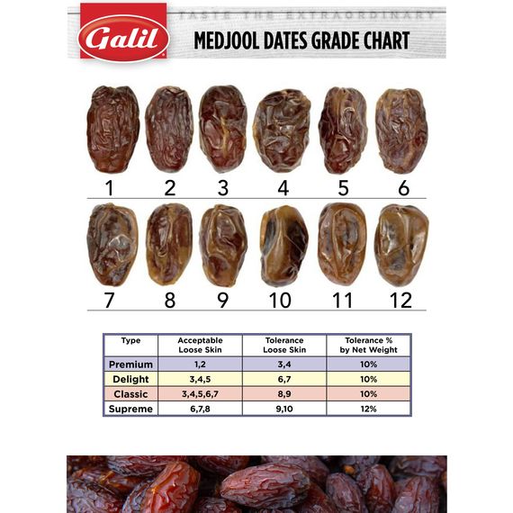 Premium Natural Medjool Dates | Gold | 11 lbs | Galil