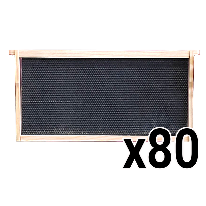 Deep 9 1/8-Inch Langsroth Frame, Grooved Top / Grooved Bottom With Double Wax Foundation