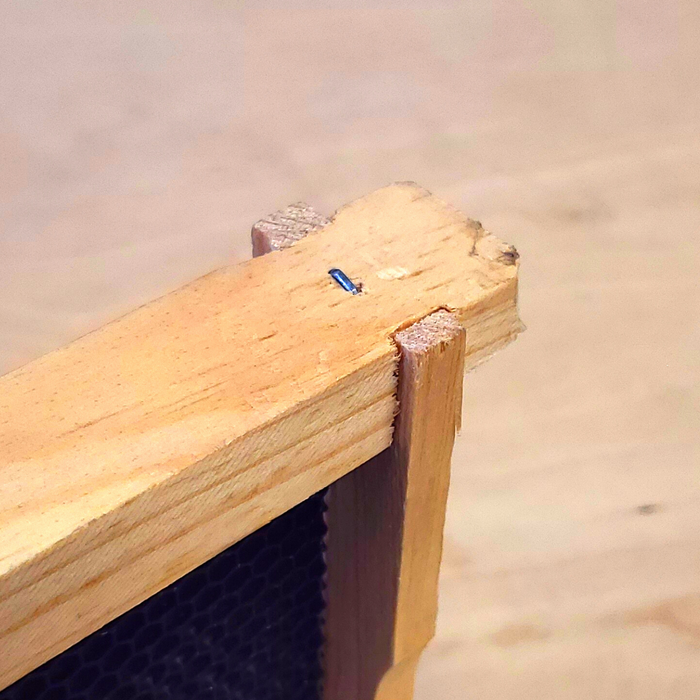 Deep 9 1/8-Inch Langsroth Frame, Grooved Top / Grooved Bottom With Double Wax Foundation