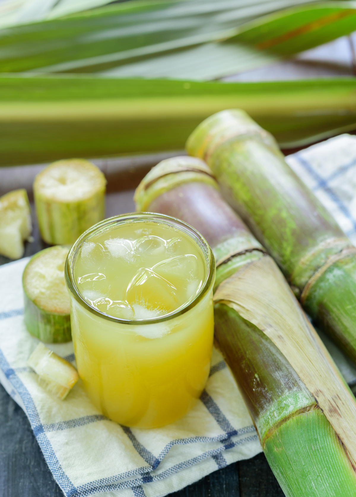 Sugar Cane 'Don Cinco' — Specialty Food Source