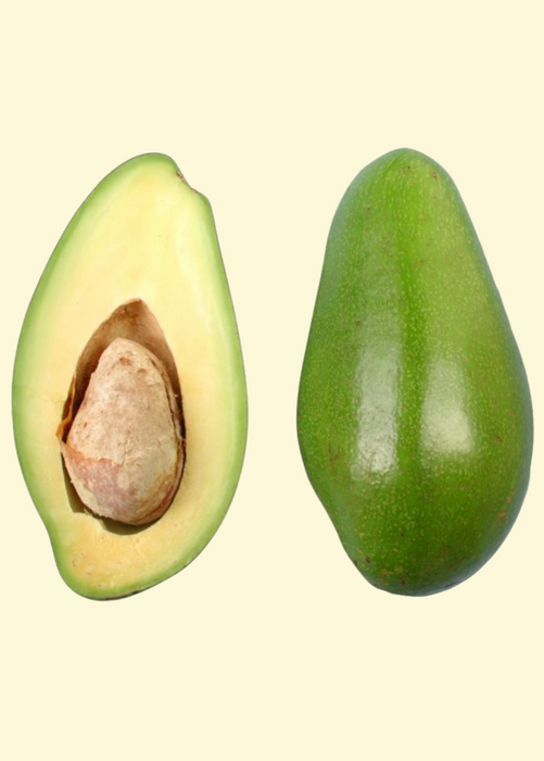 Avocado 'Donnie' (Persia americana)