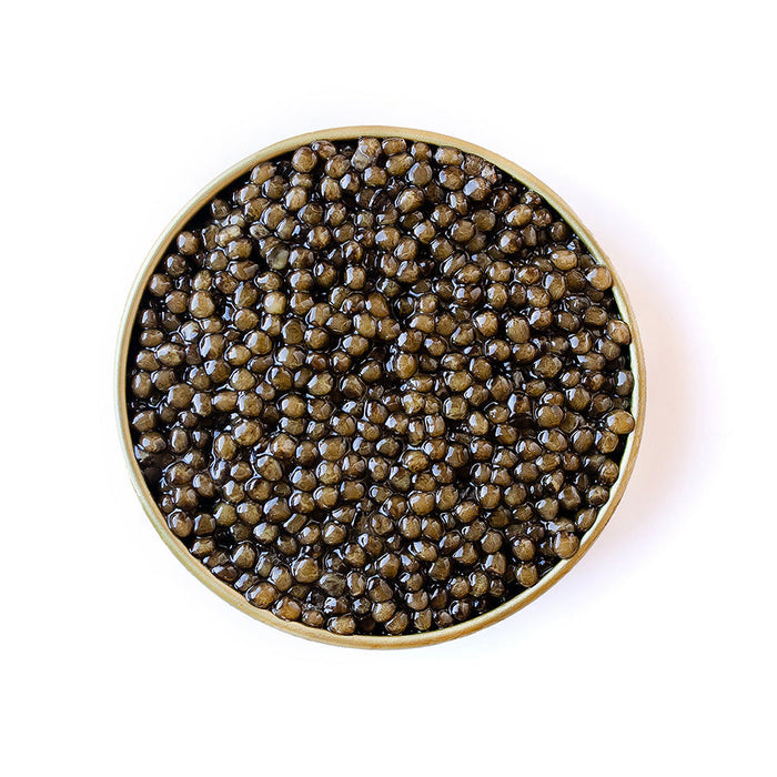 Reserve Polish Ossetra Caviar