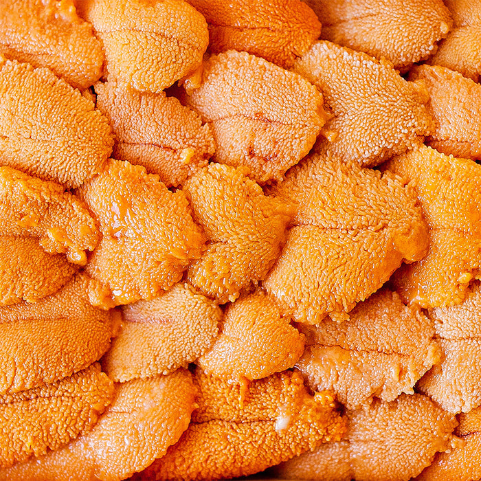 Santa Barbara Premium Fresh Sea Urchin Uni (Grade XA)