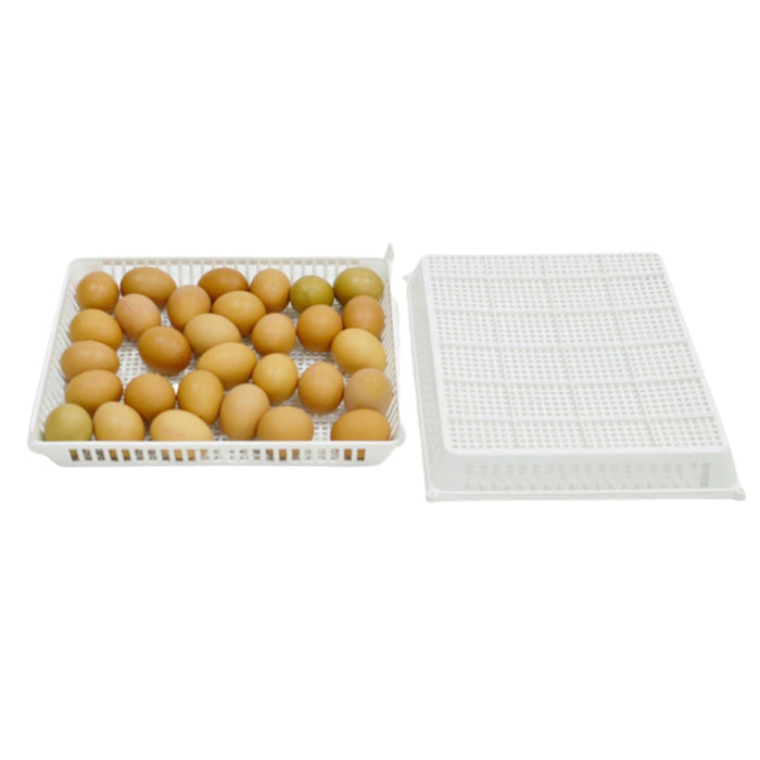Conturn Conturn 180 Set - Automatic Egg Turners and Hatch Baskets — Specialty ...