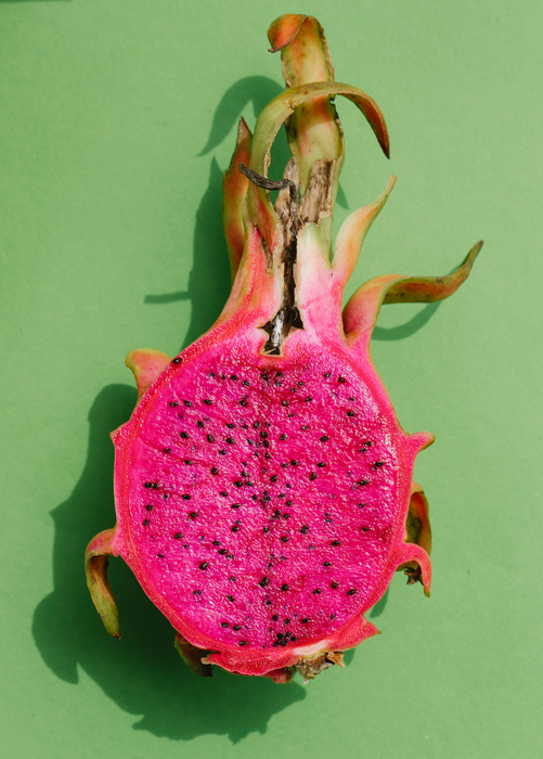Dragon Fruit 'Edgar's Baby' (Hylocereus stenopterus x Hylocereus Guatemalensis)