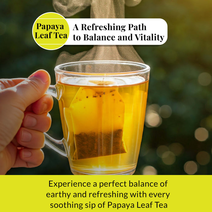 Akshit 75 Papaya Leaf Tea Bags – Caffeine-Free Herbal Support for Immunity & Digestion
