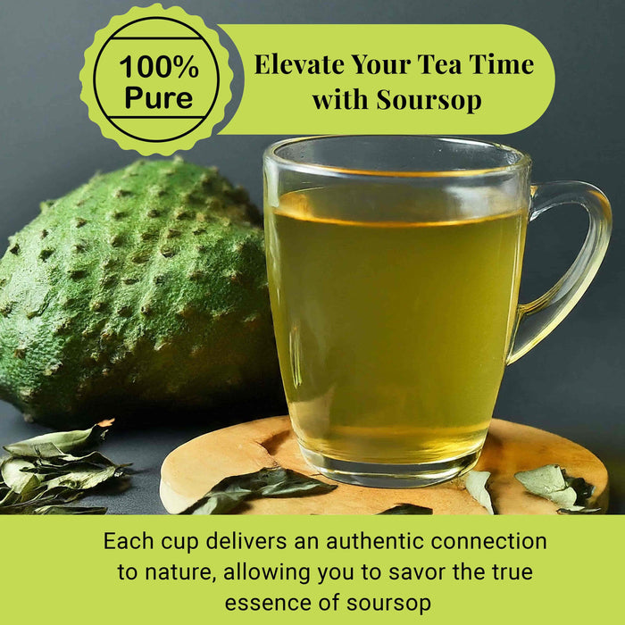 200+ Whole Dried Soursop Leaves – 2.6 oz , 100% Natural Soursop Tea (Graviola Leaves), Caffeine-Free Herbal Tea (Hoja Guanabana)