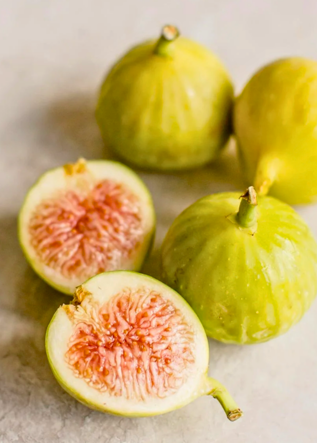 Ficus Food Fig 'Kadota' (Ficus carica) — Specialty Food Source