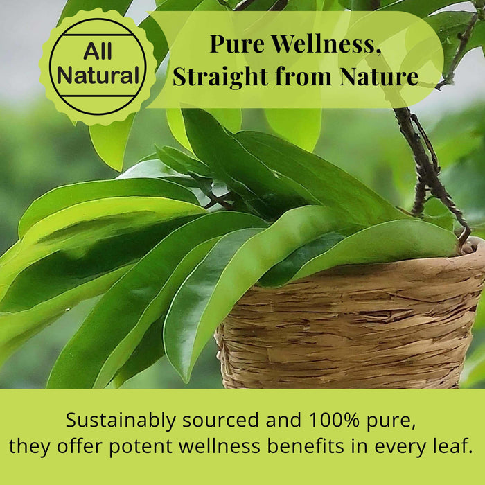 200+ Whole Dried Soursop Leaves – 2.6 oz , 100% Natural Soursop Tea (Graviola Leaves), Caffeine-Free Herbal Tea (Hoja Guanabana)