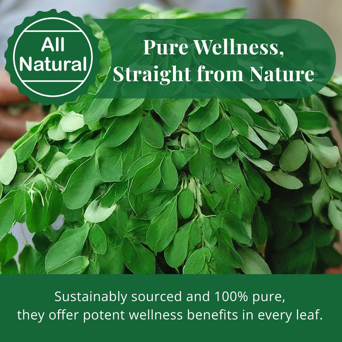 Akshit Moringa (Oleifera) Tea Leaves – Herbal Tea, 100% Natural Moringa Leaves, Boosts Energy & Immunity - 2.6 oz