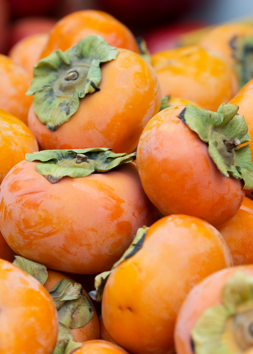 Persimmon 'Fuyu' (Diospyros kaki)