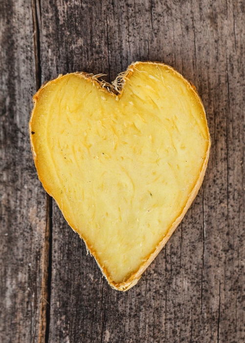 Ginger, Yellow (Zingiber officinale)