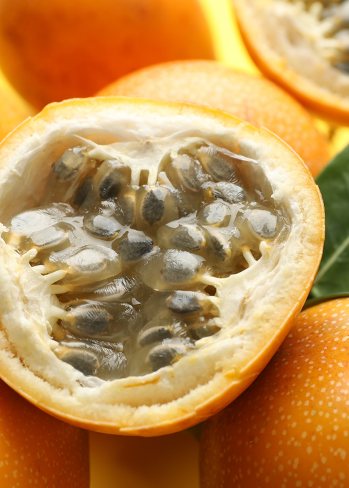 Golden Apple Passionfruit (Passiflora laurifolia)