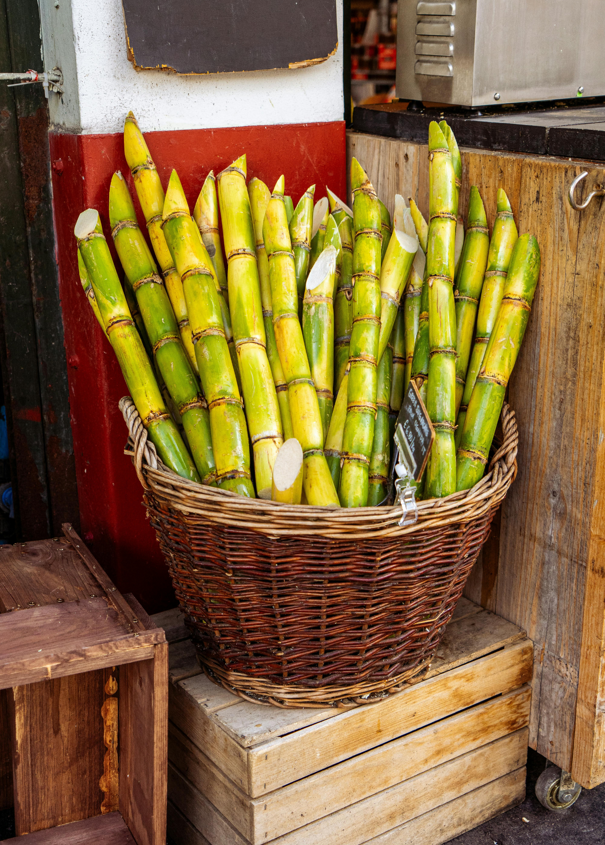 Sugar Cane 'Green' — Specialty Food Source