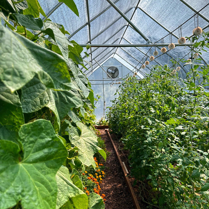 Greenhouse Shutter Mount Exhaust Fans