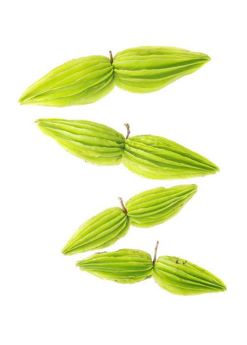 Bitter Leaf Tree (Gymnanthemum extensum)