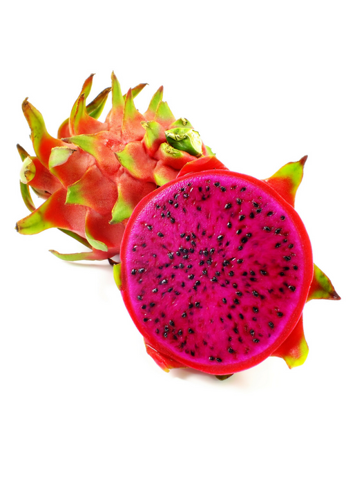 Dragon Fruit, Red 'Tricia' (Hylocereus polyrhizus)