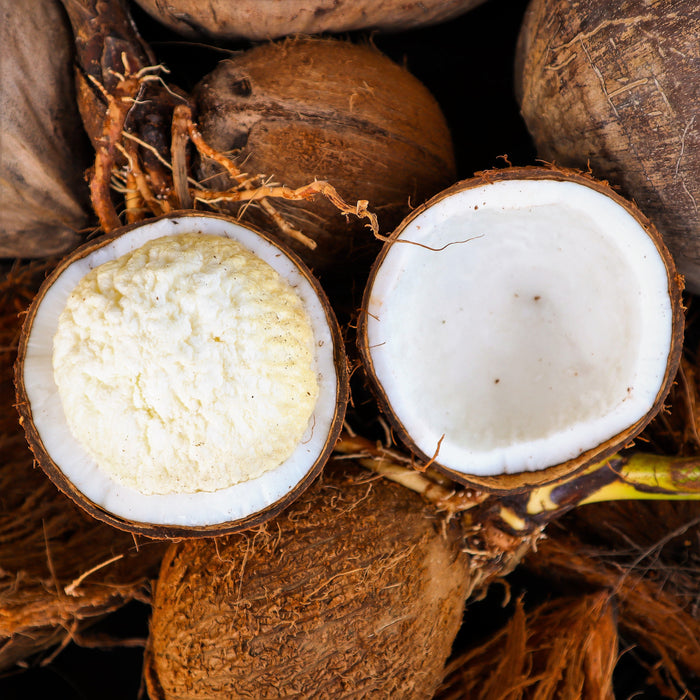 Sprouted Coconut (Coconut Heart)