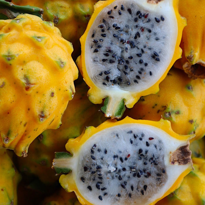 Yellow Dragon Fruit