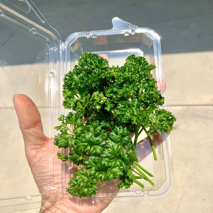 Curly Parsley | Suzuki Farm | 0.05 lb