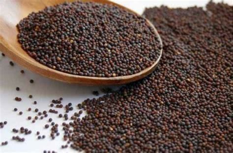 Brown Mustard Seed – 9.5 lb