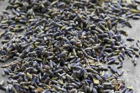 Dried Lavender – 4 lb