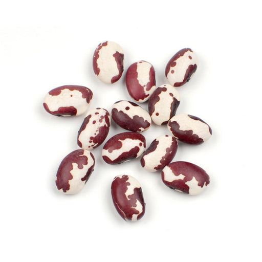 Anasazi beans with distinctive burgundy and cream patterns, ideal for gourmet recipes and healthy diets.