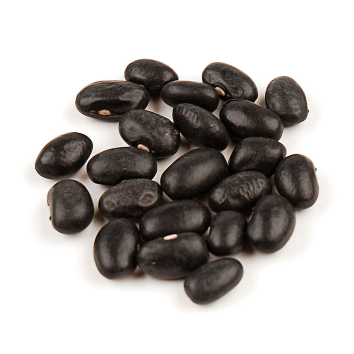 Black Turtle Beans - Nutritious & Flavorful | Specialty Food Source