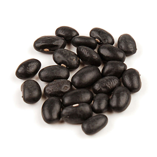 Organic Black Turtle Beans, featured in our Healthy Eating category, showcasing their deep black color and smooth texture.