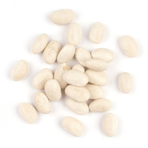 Beans & LegumesGreat Northern BeansGreat Northern BeansSpecialty Food SourceThese beans are known for their delicate, slightly nutty taste and firm texture. An excellent source of protein, fiber, and essential nutrients, Great Northern Beans