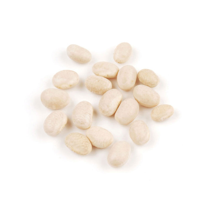 Beans & LegumesNAVY BEANS FRENCHNAVY BEANS FRENCHSpecialty Food SourceThese beans, known for their small size and delicate flavor, are a versatile ingredient in both traditional and contemporary dishes. Packed with protein, fiber, and 