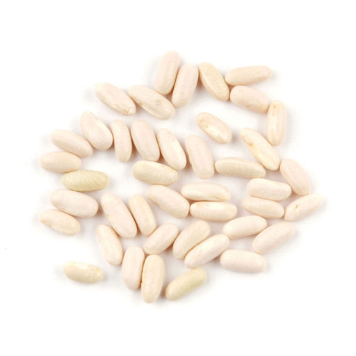 Exotic Rice Bean from our Rare Finds, showcasing their small, rice-like appearance and natural texture.