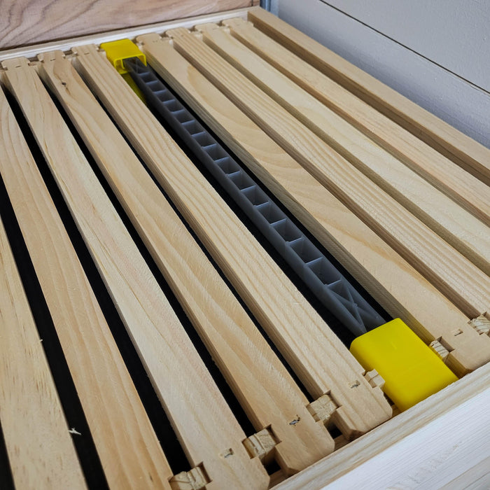 Clearance - JZBZ Queen Cell Frame Starter Kit