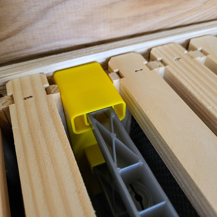 Clearance - JZBZ Queen Cell Frame Starter Kit