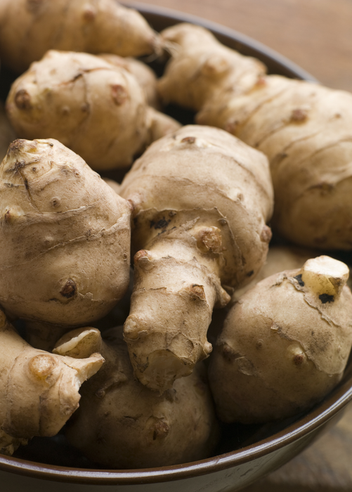 Jerusalem Artichoke (Helianthus tubersosus)