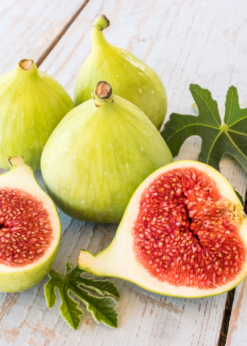 Fig 'LSU Gold' (Ficus carica)