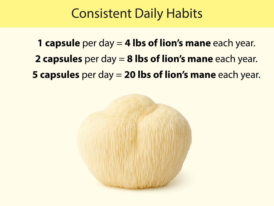 Organic Lion's Mane Capsules