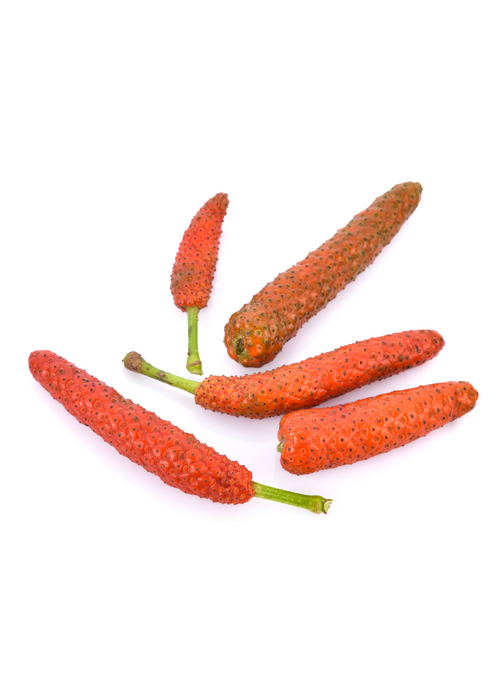 Long Pepper (Piper longum)