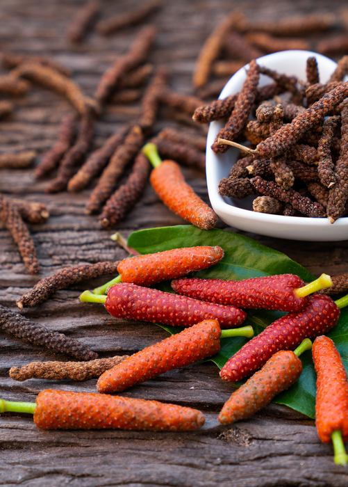 Long Pepper (Piper longum)